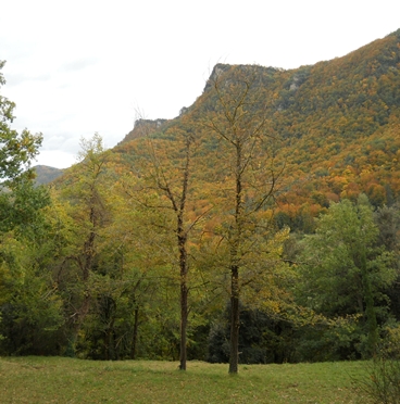 Serra del Corb